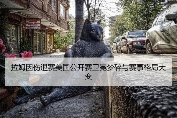 拉姆因伤退赛美国公开赛卫冕梦碎与赛事格局大变